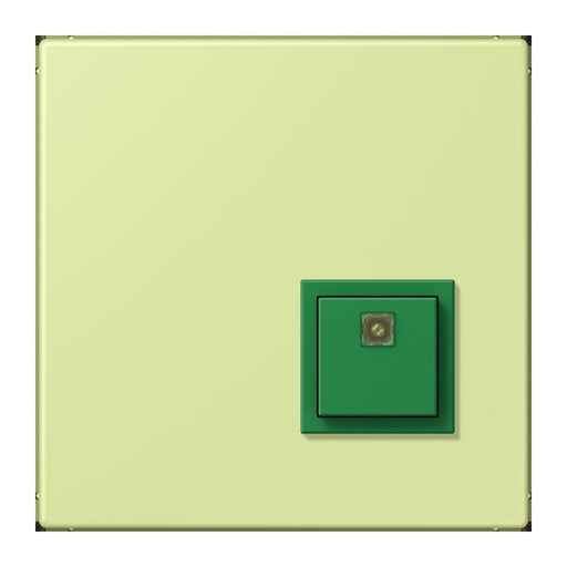 Jung - Behindertenelement für Installationsschalterprogramme Notrufsystem Abstelltaster NRS LC 0834 AT 222 vert jaune clair