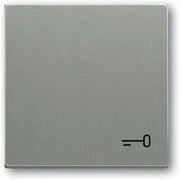 Busch-Jaeger - Abdeckung/Bedienelement für Installationsschalterprogramme Wippe mit Aufdruck 2520 TR-803 graumetallic