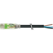 Murrelektronik - Konfektioniertes Sensor-Aktor-Kabel Steckverbinder 7000-08111-6500500 M8 Bu auf fr. Ende