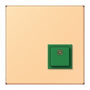 Jung - Behindertenelement für Installationsschalterprogramme Notrufsystem Abstelltaster NRS LC 0834 AT 258