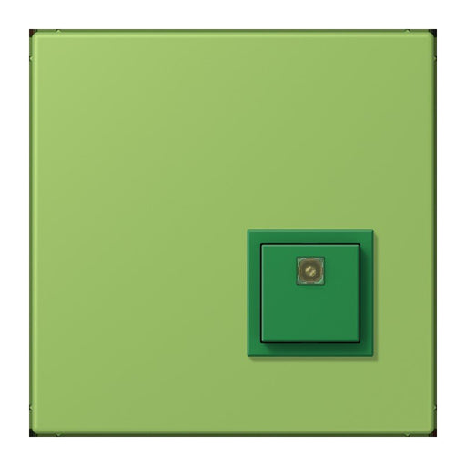 Jung - Behindertenelement für Installationsschalterprogramme Notrufsystem Abstelltaster NRS LC 0834 AT 220 vert 31