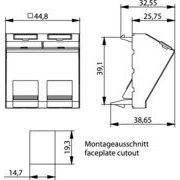 Telegärtner - Kommunikationsanschlussdose Kupfer Zentralplatte französisch 100021428 45x45 f. 2x AMJ/UMJ − 10 Stück
