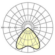 Regiolux - Decken-/Wandleuchte LED-Anbauleuchte procube #60402024160 4000K