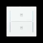 Busch-Jaeger - Bussystem-Tastwippe Abdeckung als Taster LFJT/A.2.70.11-44g 2f. Symbol Jalousie