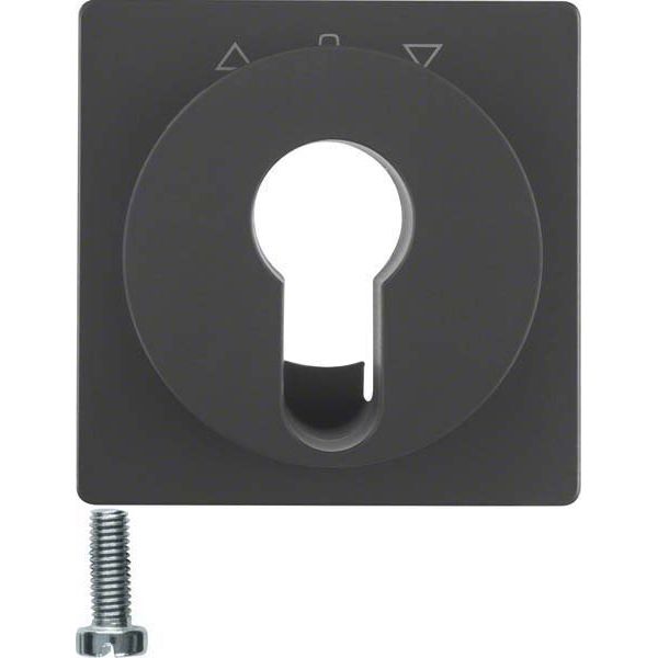 Berker - Abdeckung/Bedienelement für Installationsschalterprogramme Zentralstück anth/sa 15066086 f. Schlüsselschalter