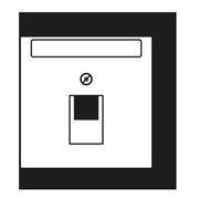 Jung - Einsatz/Abdeckung für Kommunikationstechnik Abdeckung für IAE/UAE LC 969-1 NAUA 206