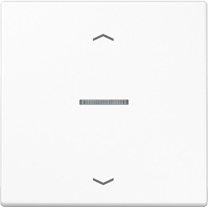 Jung - Abdeckung/Bedienelement für Installationsschalterprogramme Wippe Symbole/Lichtl.aws LS 990 KO5P WW für Taster