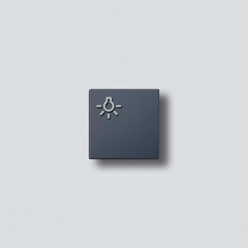 Siedle&Söhne - Zubehör/Ersatzteile für Türkommunikation Lichttaste mit Lichtsymbol TLM61161201BTLM650AG Anthrazitgrau