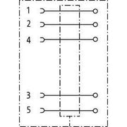 Murrelektronik - Rundsteckverbinder, feldkonfektionierbar (Industriesteckverbinder) Buchse M12 gerade 7000-13381-0000000