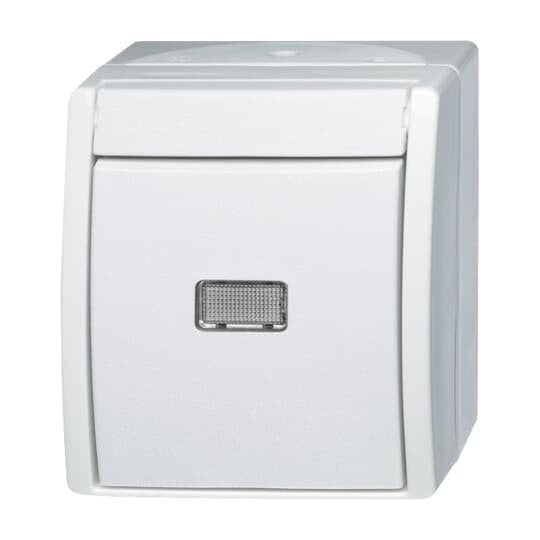 Busch-Jaeger - Installationsschalter Wechselschalter 2601/6 WGL-54