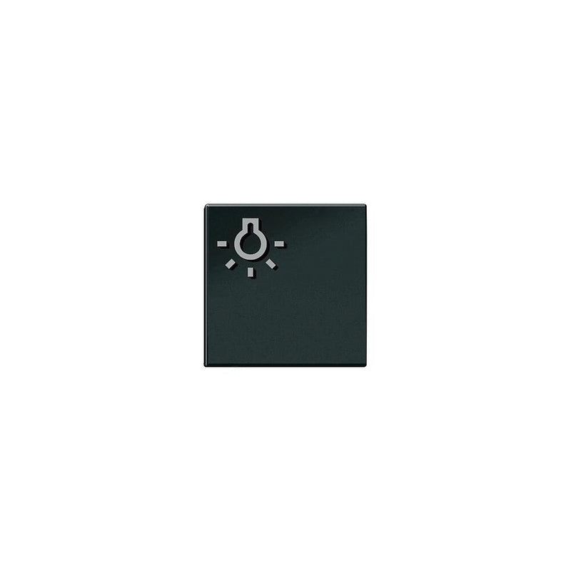 Siedle&Söhne - Zubehör/Ersatzteile für Türkommunikation Licht-Taste sw-hgl 200029978-00 mit Lichtsymbol