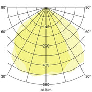 Brumberg Leuchten - Decken-/Wandleuchte LED-Wandanbauleuchte 65021103 3000K, graphit