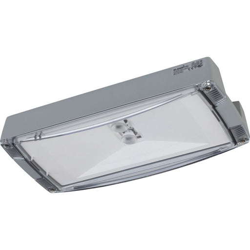 Ceag Notlichtsysteme - Sicherheitsleuchte AtlanticLEDLTOHBCG-S