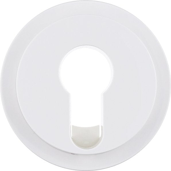 Berker - Abdeckung/Bedienelement für Installationsschalterprogramme Zentralstück polarws/gl 15072089 f.Schlüsselschalter