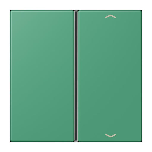 Jung - Abdeckung/Bedienelement für Installationsschalterprogramme Taste 1fach m. Pfeilsymb. LC 401 TSAP 250 vert 59