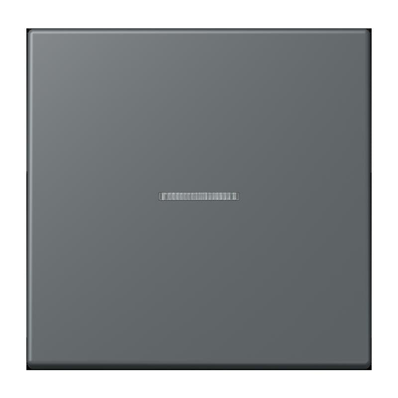 Jung - Abdeckung/Bedienelement für Installationsschalterprogramme Wippe mit Lichtleiter LC 101 KO5 202 gris fonce 31
