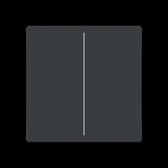 Busch-Jaeger - Bussystem-Tastwippe Abdeckung, 2-fach LFW/A.2.63.11-81 für Keypad