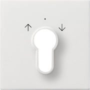 Gira - Abdeckung/Bedienelement für Installationsschalterprogramme Zentralplatte rws-gl 0664112 f.Schlüsselschalter