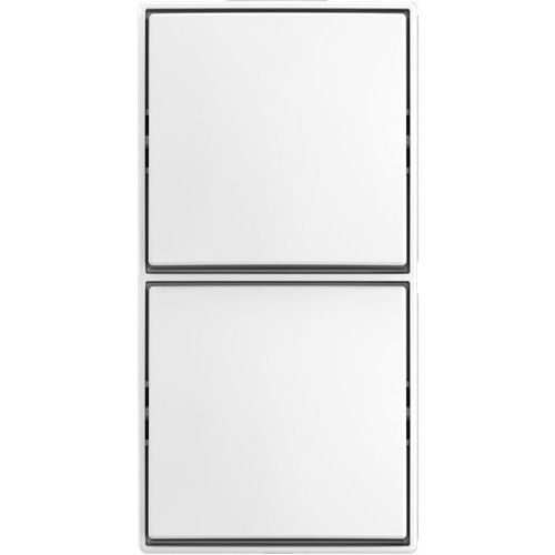 Busch-Jaeger - Installationsschalter Kombi Schalter/Schalter AP 2601/6/2601/6 APJ524
