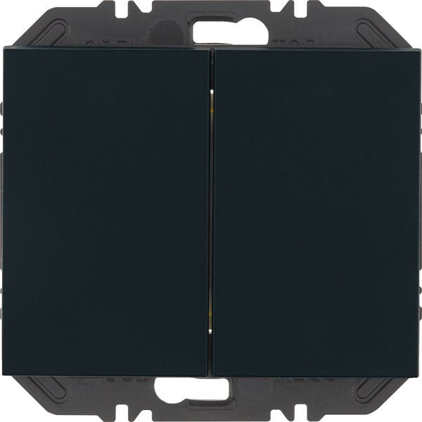 Berker - Bussystem-Hand-/Wandsender Friends of Hue Tasten 24127036 2fach,K.1,ant.samt