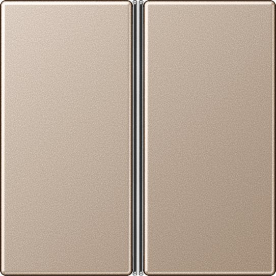 Jung - Abdeckung/Bedienelement für Installationsschalterprogramme Tastensatz 2-fach champ. A 402 TSA CH komplett − 1 Stück