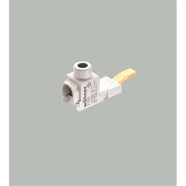Wöhner - Sammelschienenklemme Anschlussklemme 31550 6-35qmm − 10 Stück