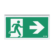 Ceag Notlichtsysteme - Sicherheitsleuchte LED-Rettungszeichenleuchte FT3EW4ICGS ZB, Piktos, Wand