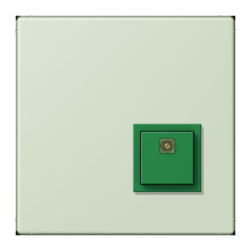 Jung - Behindertenelement für Installationsschalterprogramme Notrufsystem Abstelltaster NRS LC 0834 AT 218 vert anglais pale