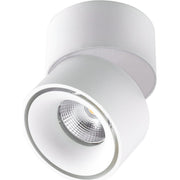 EVN Lichttechnik - Downlight/Strahler/Flutlicht Wand-u.Deckenleuchte AS20090125