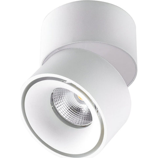 EVN Lichttechnik - Downlight/Strahler/Flutlicht Wand-u.Deckenleuchte AS20090125