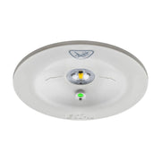 Ceag Notlichtsysteme - Sicherheitsleuchte LED-Einzelbatterie-Leuchte 13821.2 1-8/DCGLine