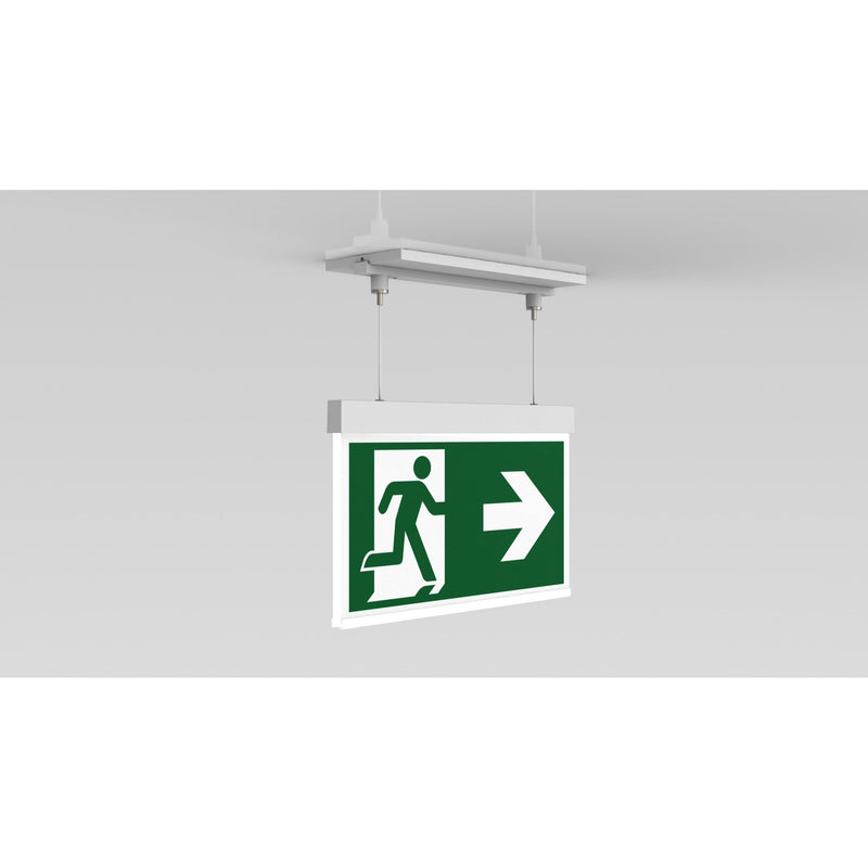 RP-Technik - Sicherheitsleuchte Rettungszeichenleuchte AXCC009ML ZB, ML, Piktoset
