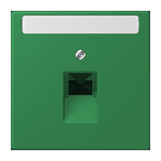 Jung - Einsatz/Abdeckung für Kommunikationstechnik Abdeckung für IAE/UAE LC 969-1 NAUA 219 vert fonce (32050)