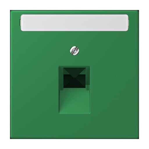 Jung - Einsatz/Abdeckung für Kommunikationstechnik Abdeckung für IAE/UAE LC 969-1 NAUA 219 vert fonce (32050)