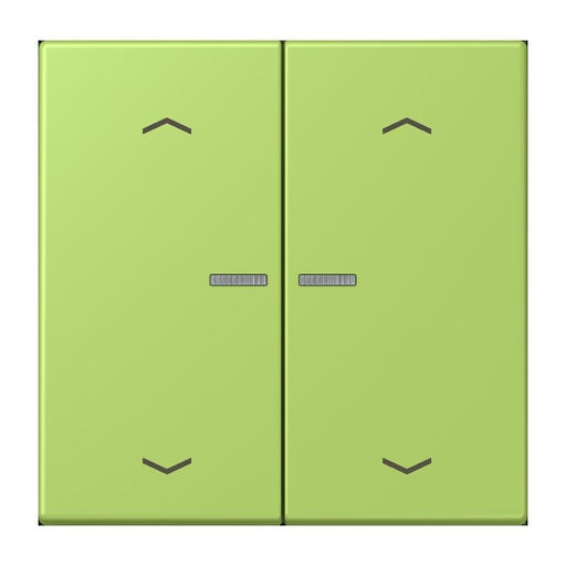 Jung - Bedienelement intelligent Taster mit Pfeilsymbolen BT LC 17102 P 221 vert clair