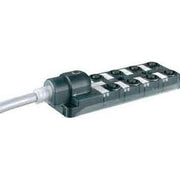 Murrelektronik - Passiver Sensor-/Aktor-Verteiler (mit Leitung) M12 Verteiler 8-fach 8000-88510-3980500 MVP12N-AN8F398 5.0M