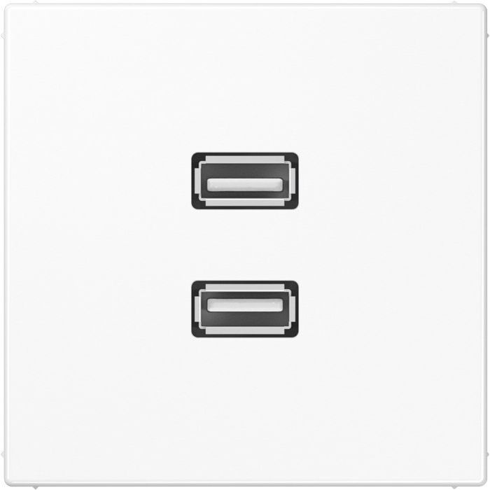 Jung - Multifunktions-Anschlussdose Multimedia-Anschluss aws MA LS 1153 WW 2 x USB m.Tragring