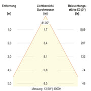 EVN Lichttechnik - Decken-/Wandleuchte LED-Deckenleuchte DSR54190125 ML, MC