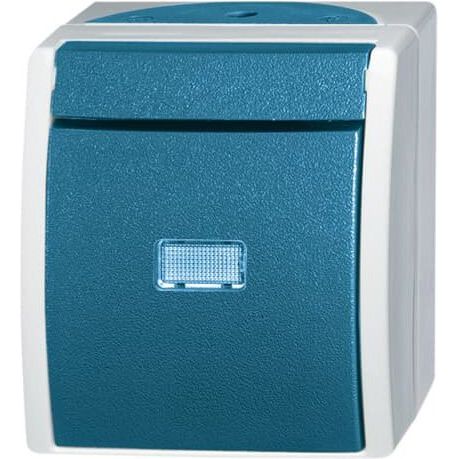 Busch-Jaeger - Installationsschalter Wechselschalter 2601/6 WGL-53 AP