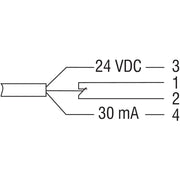 Schmersal - Gerät zur Überwachung von sicherheitsgerichteten Stromkreisen Schutztürüberwachung BNS 300-01ZG-ST − 1 Stück