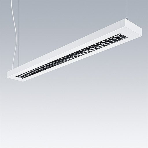 Thorn - Pendelleuchte LED - Hängeleuchte PUNCH 3 LV #96636018 840