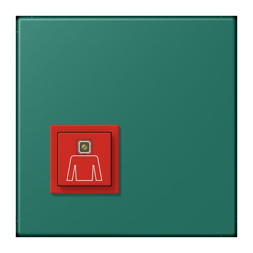 Jung - Behindertenelement für Installationsschalterprogramme Notrufsystem Ruftaster NRS LC 0834 RT 216 vert anglais