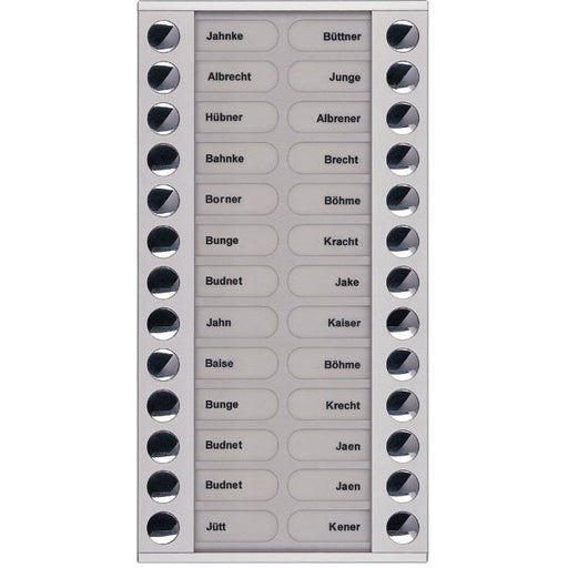 TCS Tür Control - Montageelement für Türstation Audioaußenstation 2-reihig PET26-EN/04 Erw.26 Tasten silber