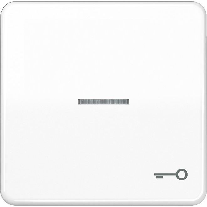 Jung - Abdeckung/Bedienelement für Installationsschalterprogramme Wippe Sym.TÜR/Lichtl.aws CD 590 KO5T WW für beleuchtb.Taster