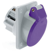 Bals Elektrotech - CEE-Anbausteckdose (IEC 60309) Kleinspann.-Anbausteckdose 4222 16A 2p 24V