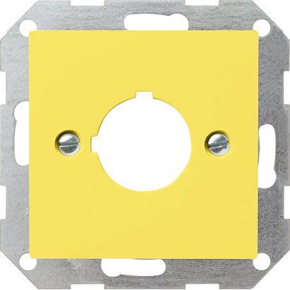 Gira - Einsatz/Abdeckung für Kommunikationstechnik Zentraleinsatz ge-gl 027102 Aufnahme 22,5mm