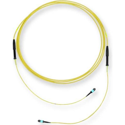 Corning - Patchkabel LWL LWL-Trunkkabel Edge XB G909012GLZ88U030M 12F MTP/f-MTP/f