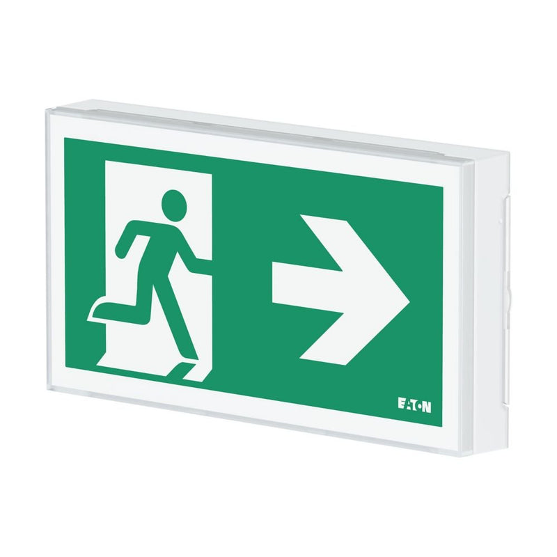 Ceag Notlichtsysteme - Sicherheitsleuchte LED-Rettungszeichenleuchte FT2EW4ICGSIP ZB, Piktos, Wand