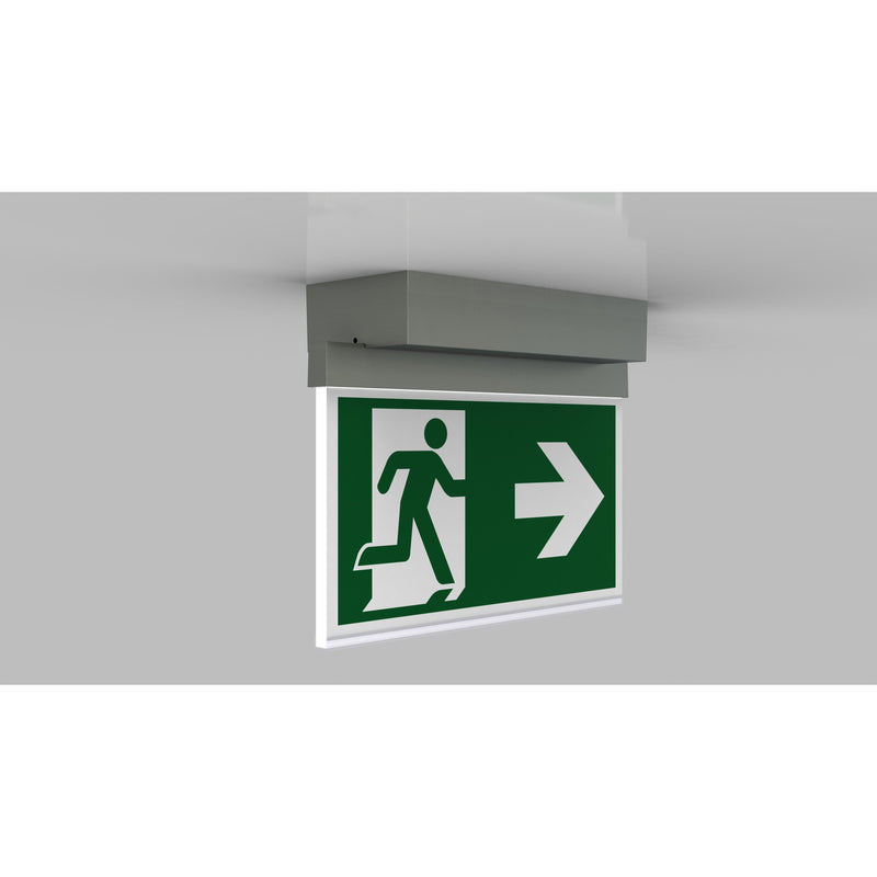 RP-Technik - Sicherheitsleuchte LED-Rettungszeichenleuchte AMD401SC-E EB 1h, SC, eds-opt