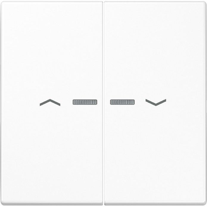 Jung - Abdeckung/Bedienelement für Installationsschalterprogramme Wippe Symbole/Lichtl.aws LS 995 KO5P WW für Taster 2-fach